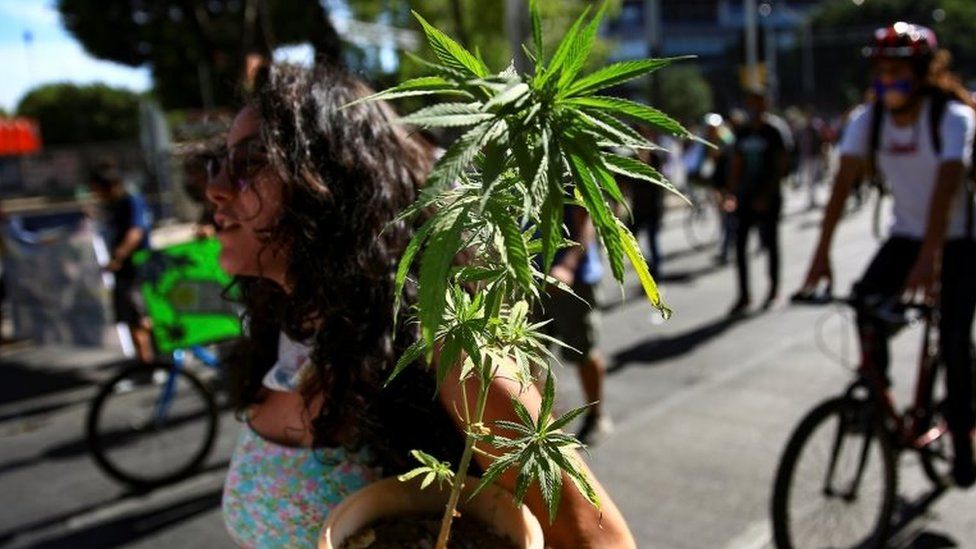 Mexico’s Congress approves landmark cannabis bill