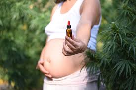 effects of cbd on pregnancy