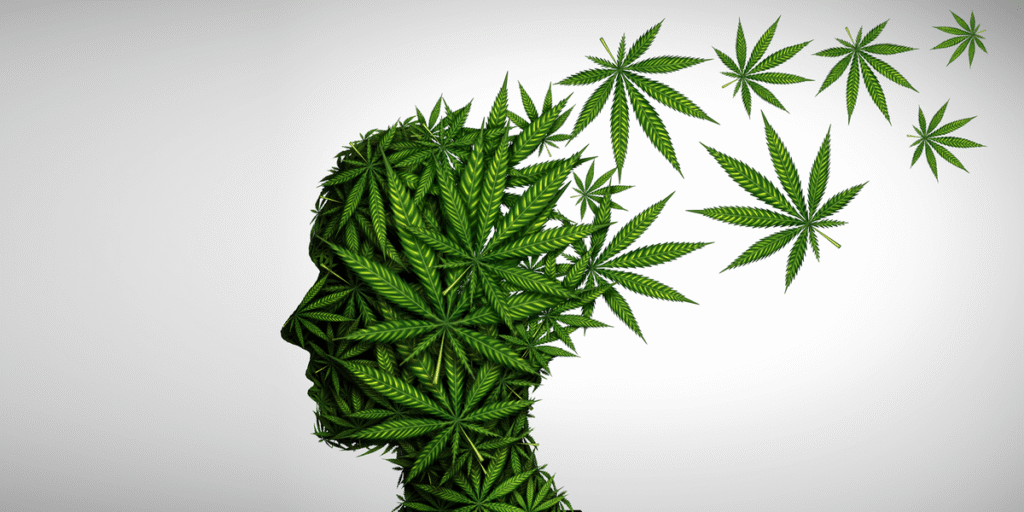 cannabis for mental health